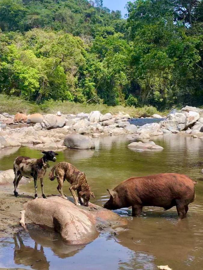 La Ponderosa Reserve Buritaca Bagian luar foto