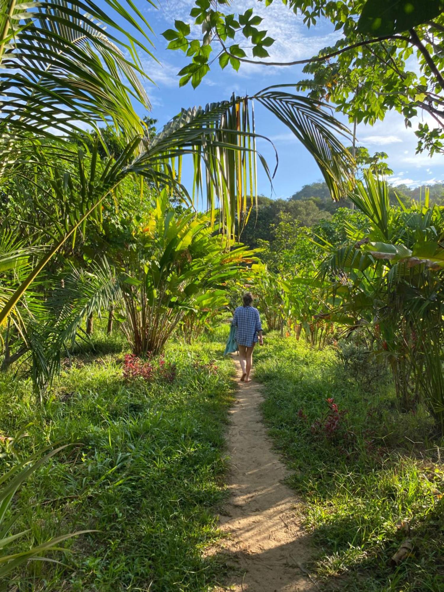 La Ponderosa Reserve Buritaca Bagian luar foto