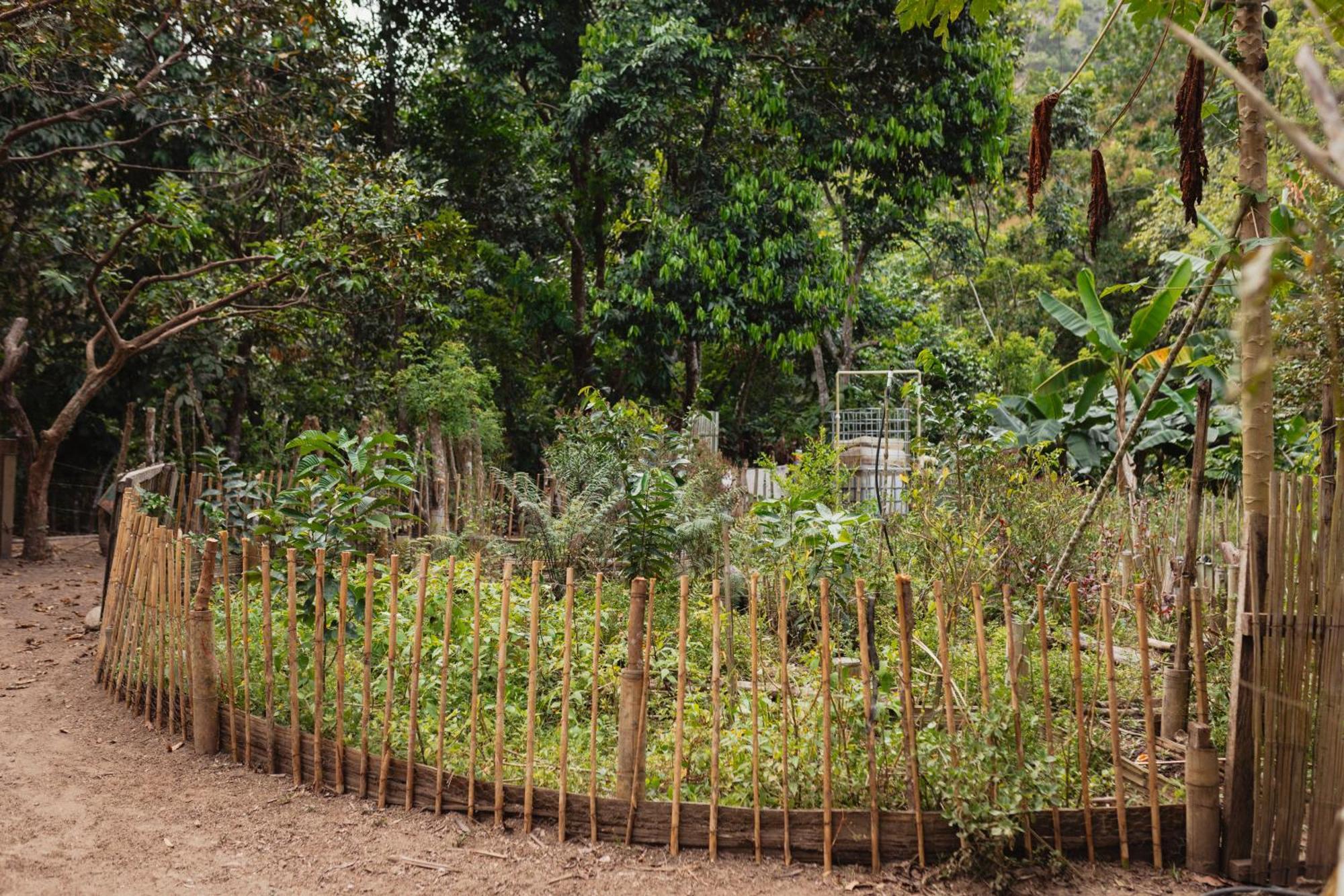 La Ponderosa Reserve Buritaca Bagian luar foto