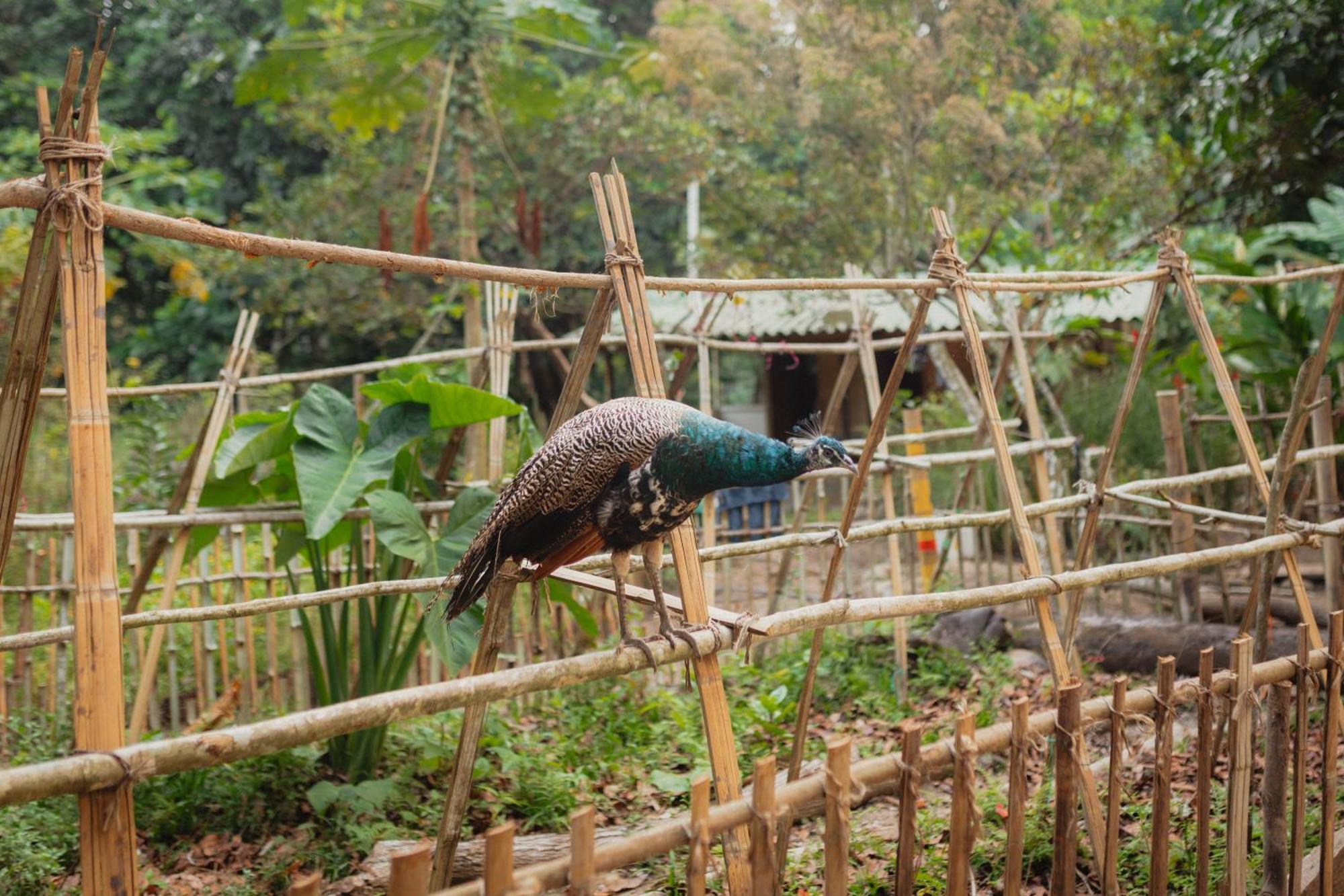 La Ponderosa Reserve Buritaca Bagian luar foto